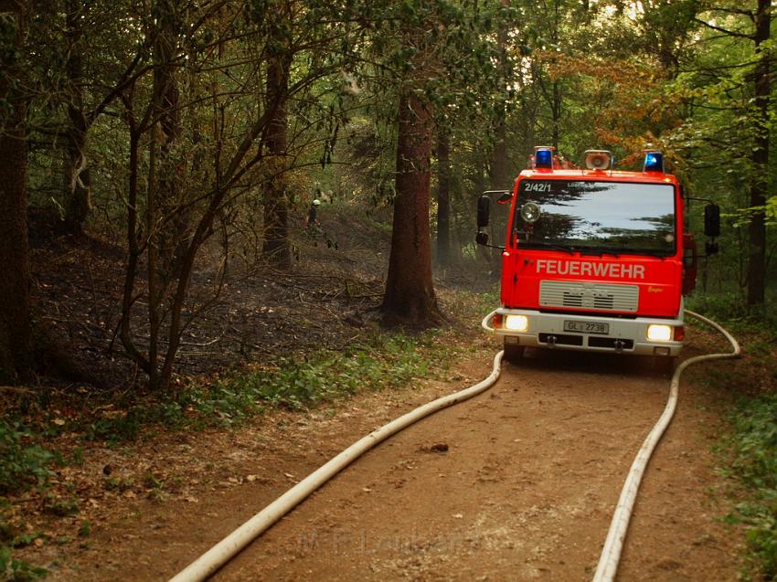 Waldbrand Bergisch Gladbach Bensberg P077.JPG